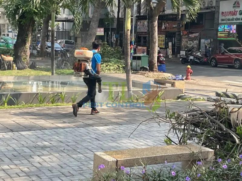 Trần Long đã xử lý thành công hàng ngàn trường hợp diệt mối lớn nhỏ