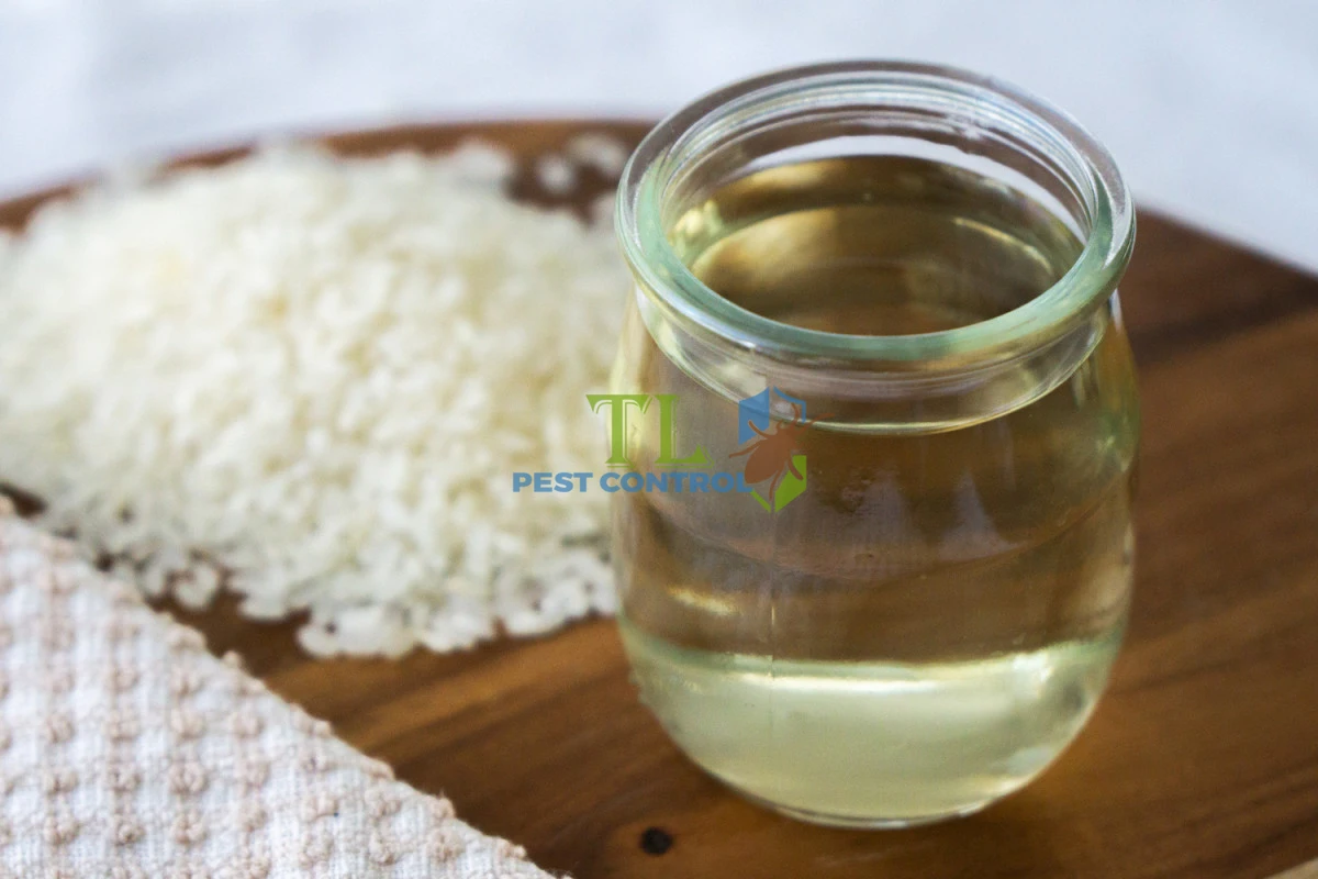 cách đuổi ong ruồi ra khỏi nhà