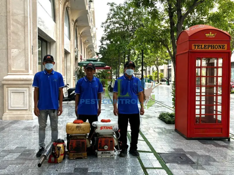 Cam kết chất lượng dịch vụ diệt mối tại quận 4 Trần Long