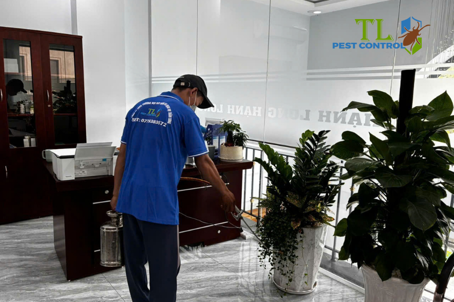 Dịch vụ diệt chuột chuyên nghiệp từ Trần Long 