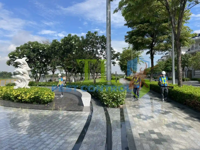 Dịch vụ phòng chống mối cho công trình tại Phường Gia Định