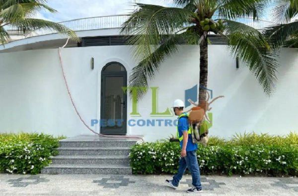 diệt muỗi quận Thủ Đức