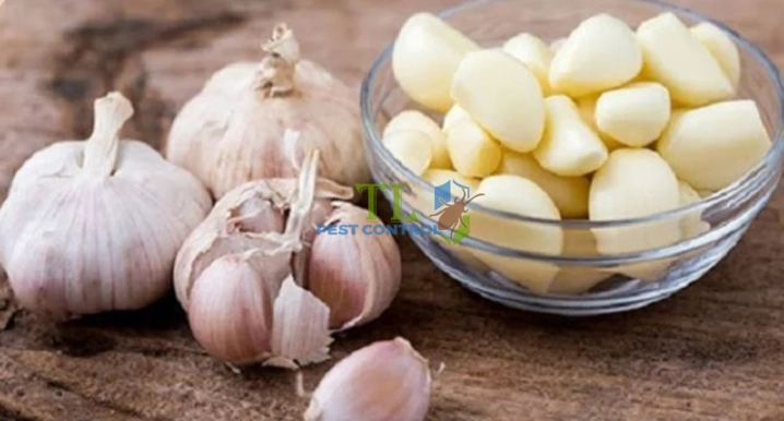 cách đuổi chuột bằng ớt bột