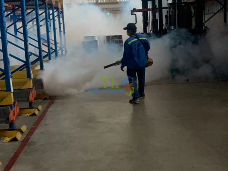tinh dầu chống kiến ba khoang