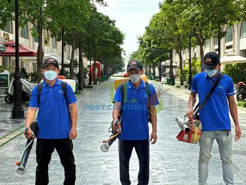 công ty diệt mối quận 12