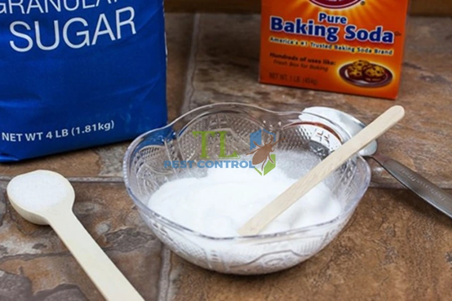 Hướng Dẫn Cách Diệt Gián Bằng Baking Soda Dễ Thực Hiện