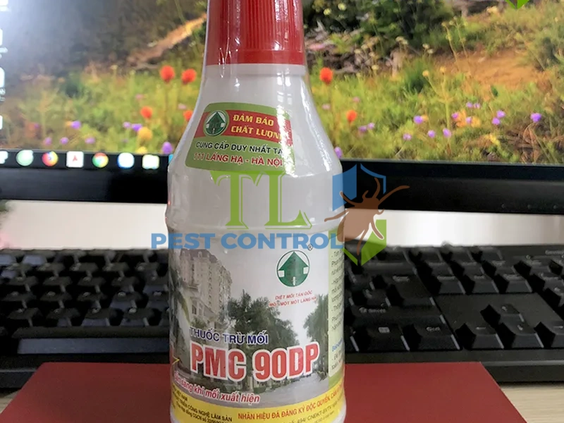 dịch vụ diệt mối quán cafe 