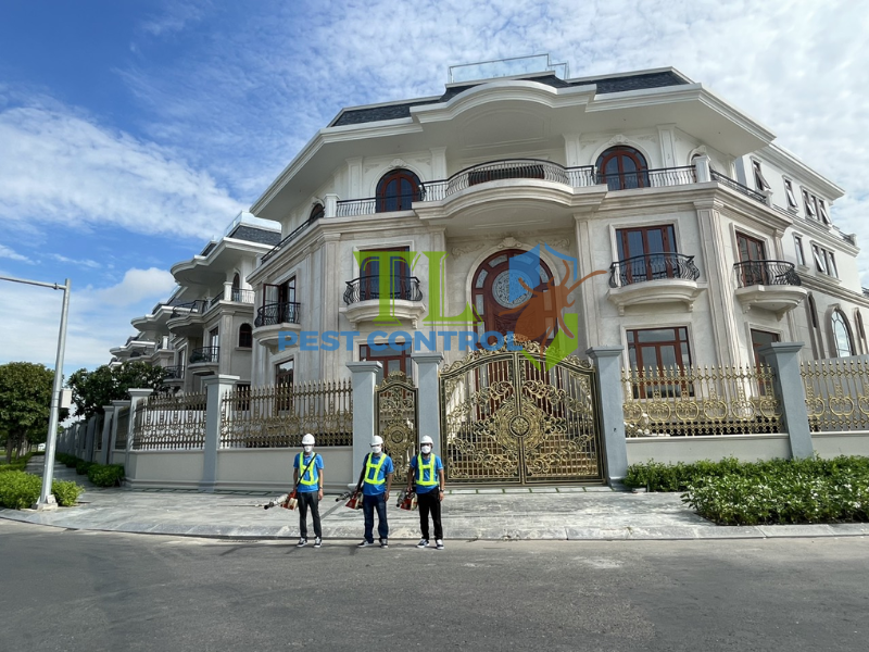 Cam kết chất lượng dịch vụ diệt mối của Trần Long tại phường Chợ Quán