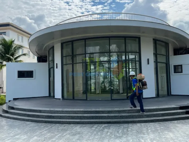 dịch vụ diệt bọ chét