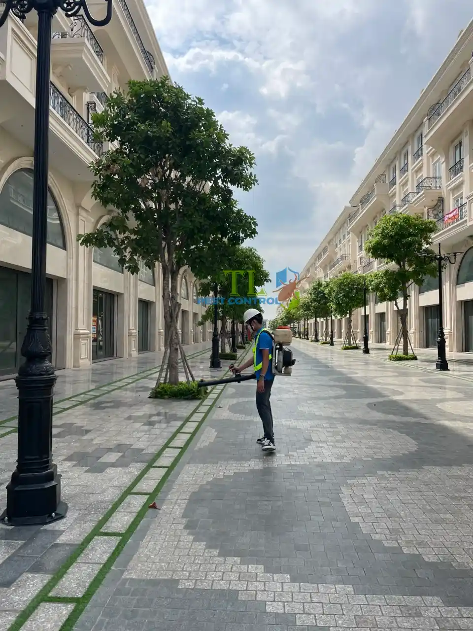 địa chỉ diệt mối uy tín