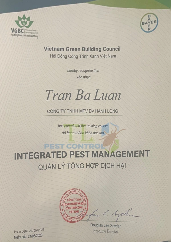 Dịch vụ diệt rầy