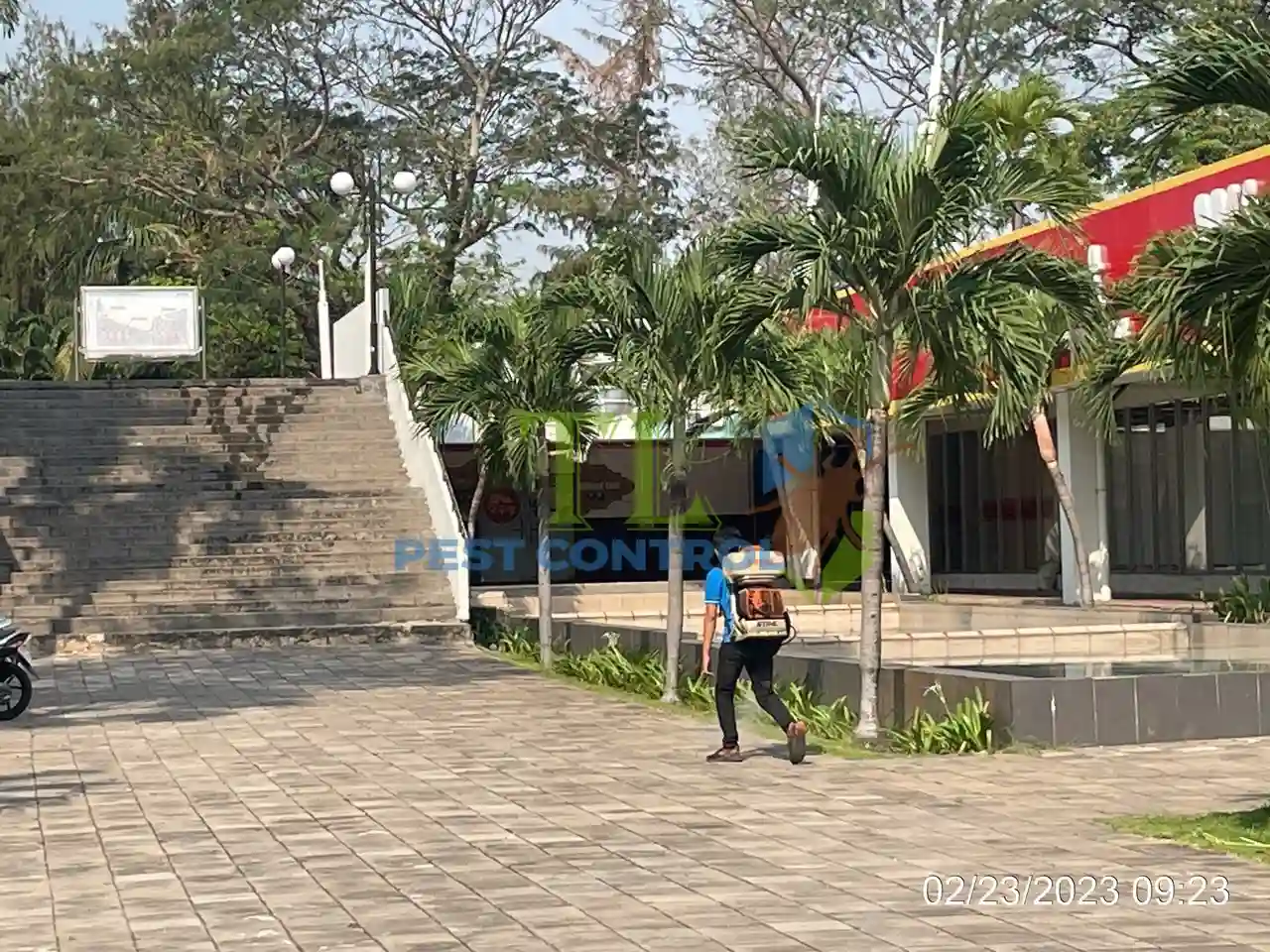 công ty diệt mối