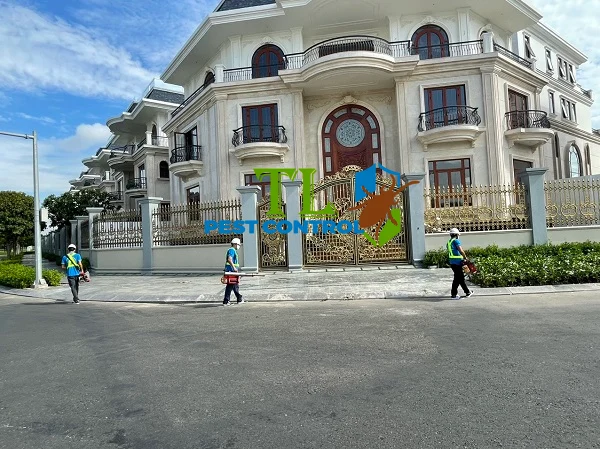 diệt mối quận 10