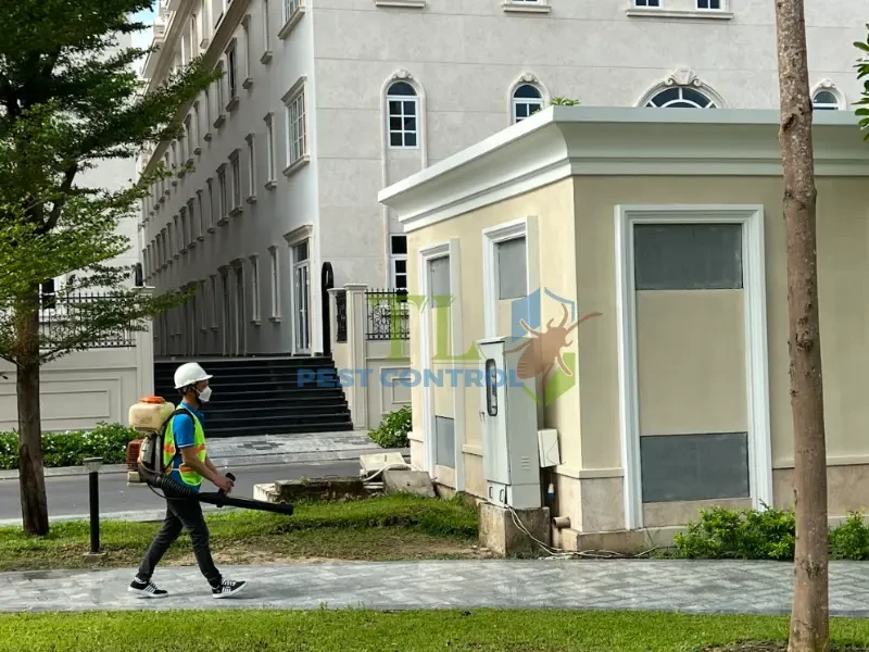 dịch vụ diệt mối bình thạnh
