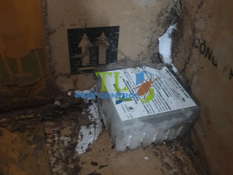 cách diệt mối tủ bếp