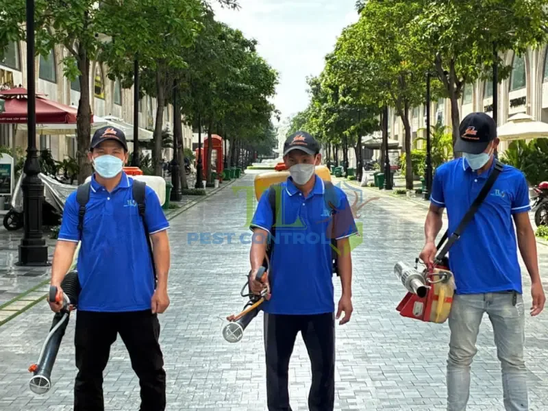 diệt mối tại bình dương