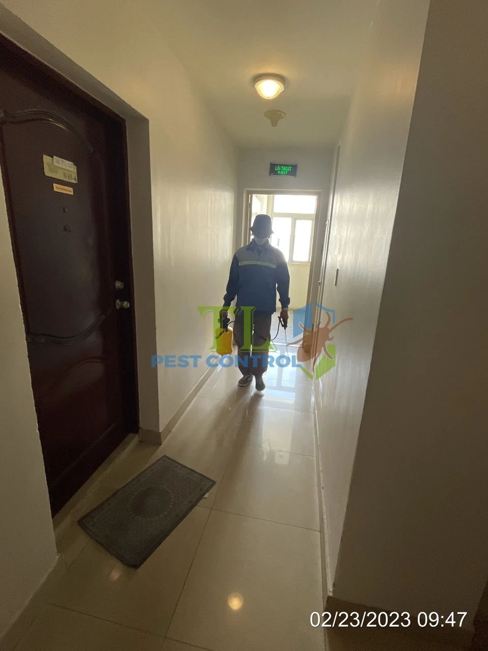quy trình chống mối công trình xây dựng