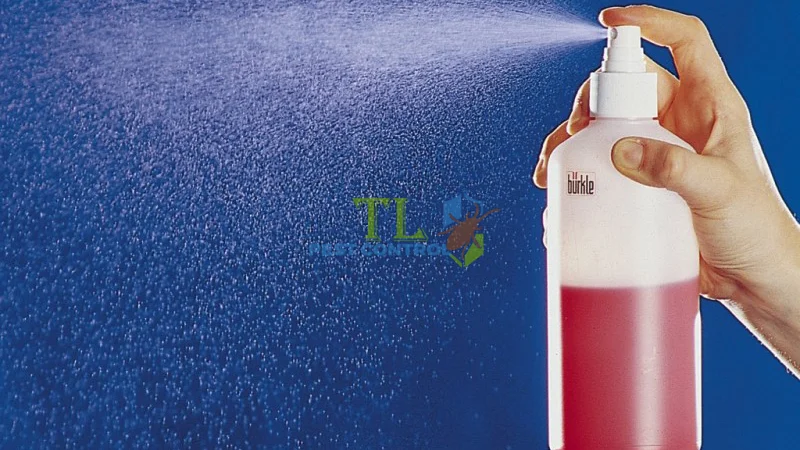 cách diệt bọ chét trong nhà