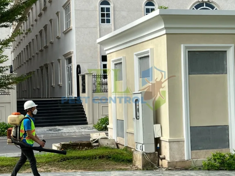 dịch vụ diệt mối công ty