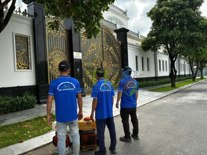 Tham khảo thêm các dịch vụ diệt mối Trần Long lân cận
