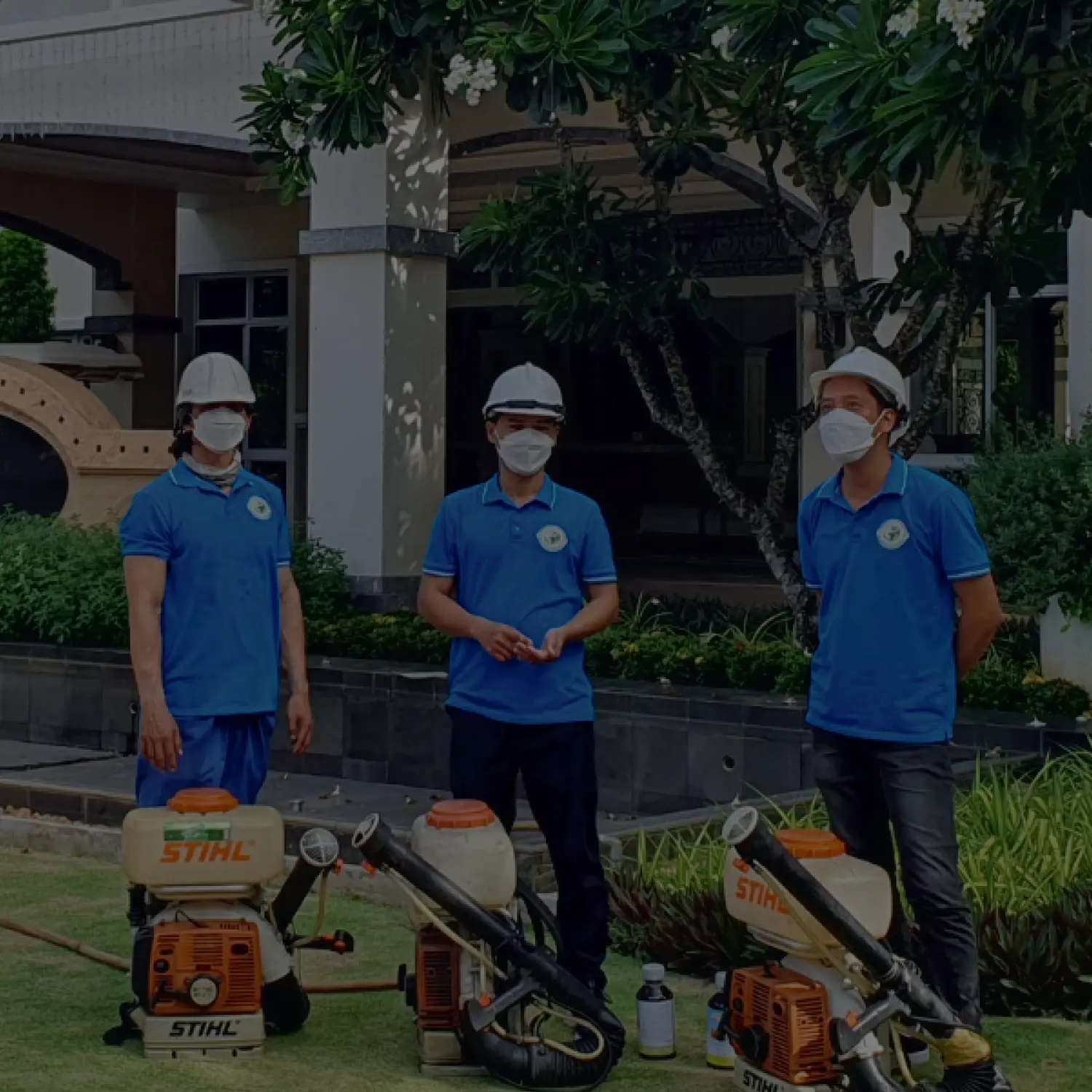 Diệt Mối Trần Long